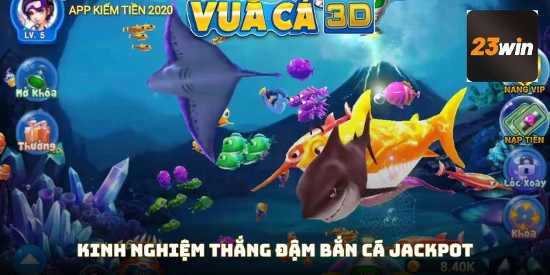 Sưu tầm thưởng sinh vật nhỏ là cách hay