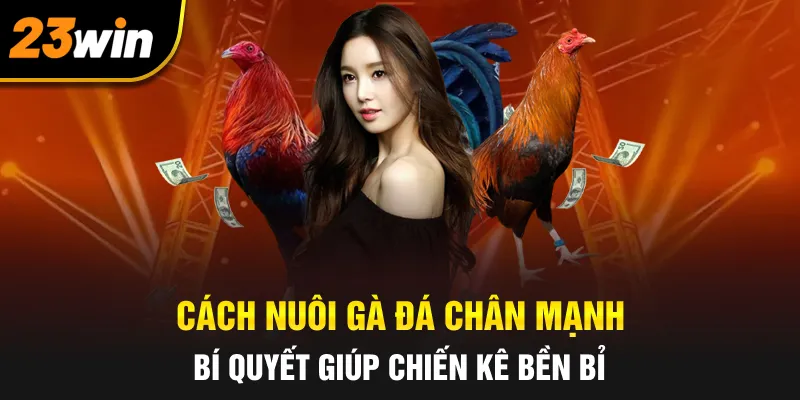 Cách Nuôi Gà Đá Chân Mạnh: Bí Quyết Giúp Chiến Kê Bền Bỉ